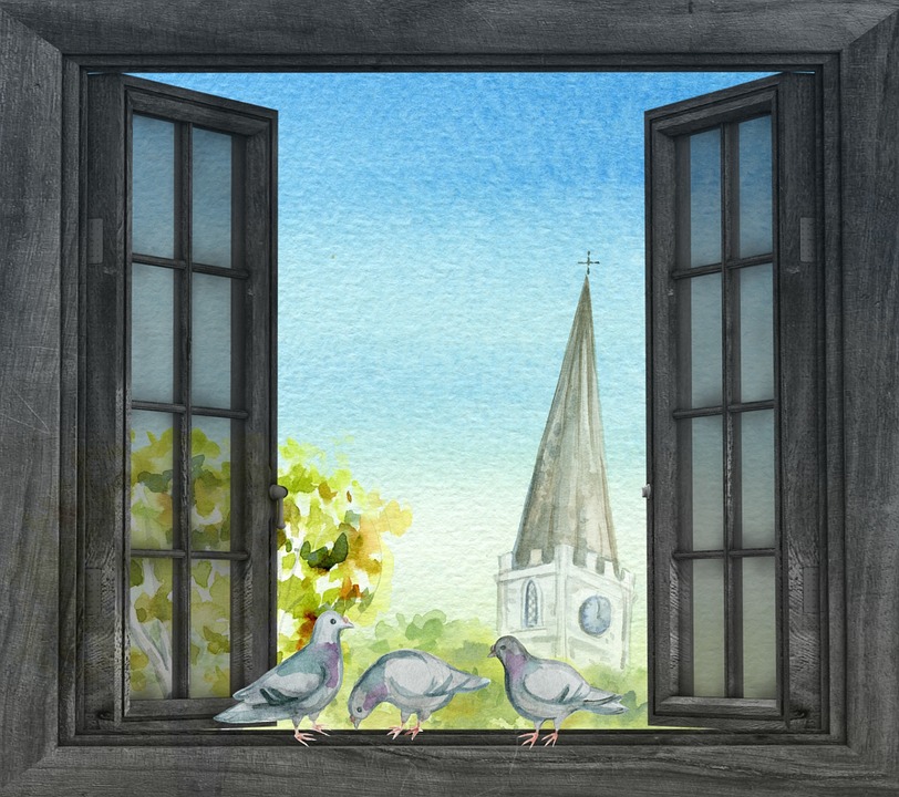 window