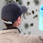removing mold